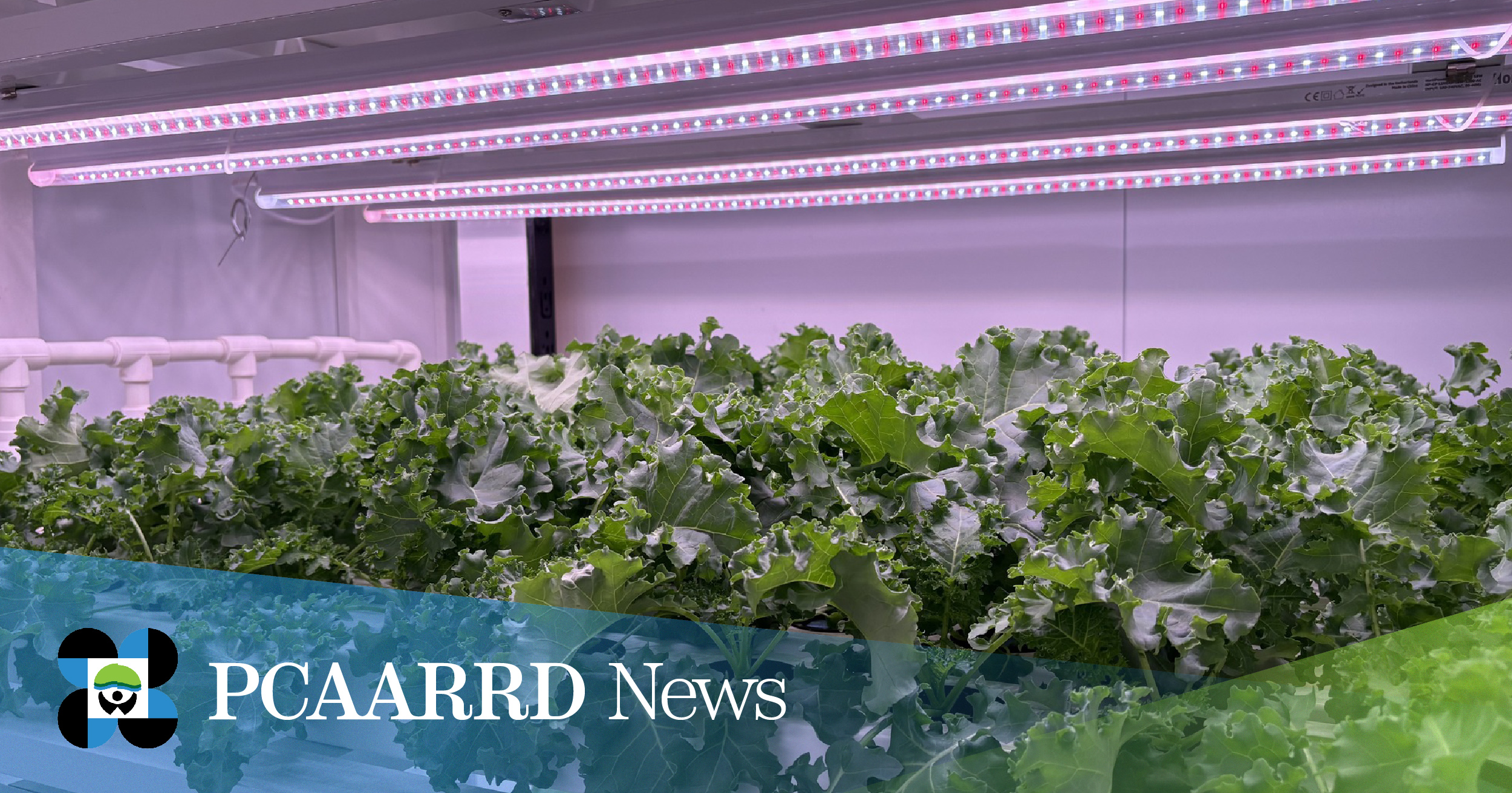 DOST-PCAARRD, UPLB Research on indoor farming opens opportunities for the industry